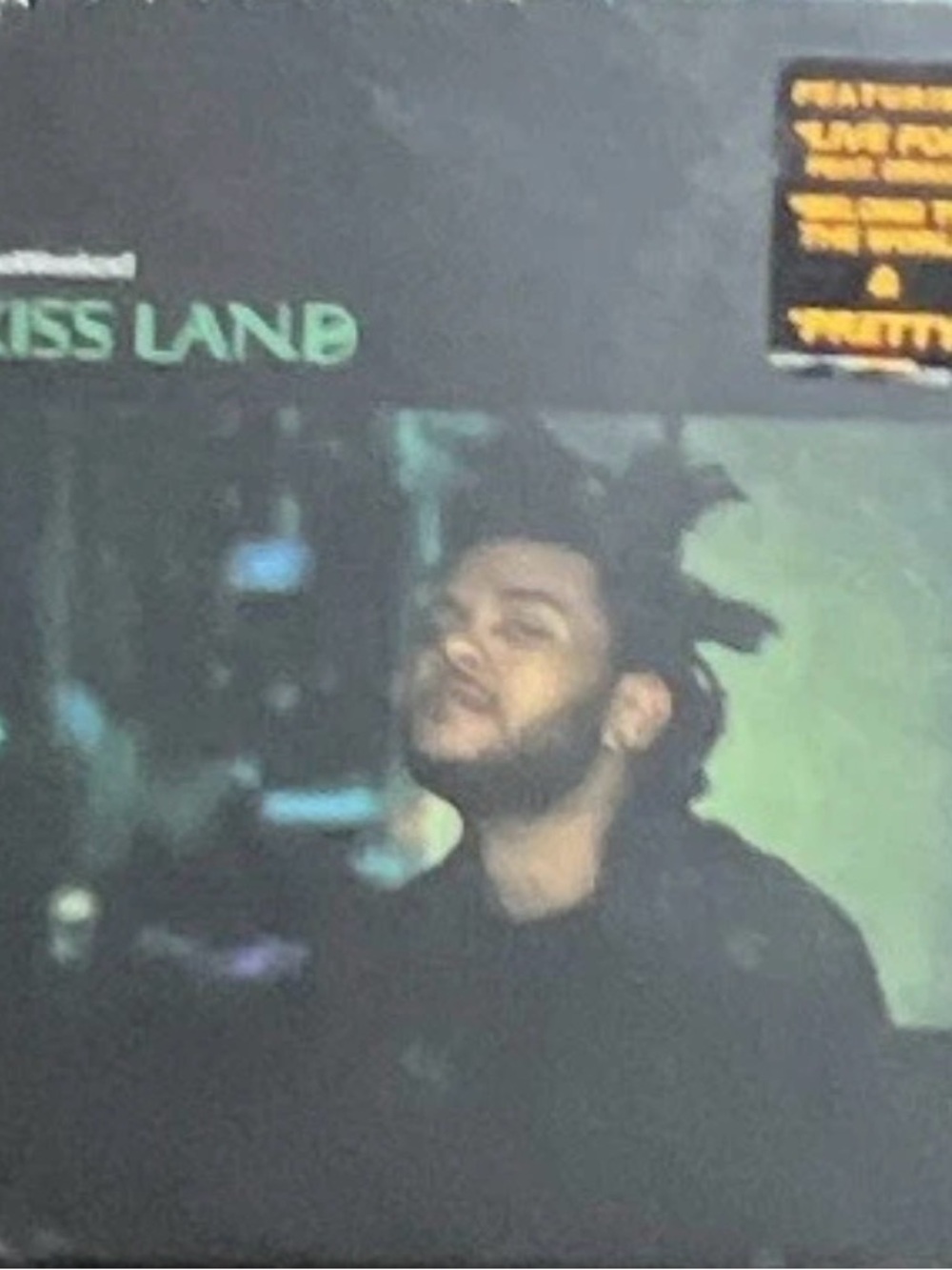 Black Reptile Habitat- Brand: CD sing kiss land